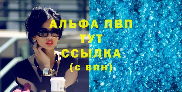 гидра Володарск