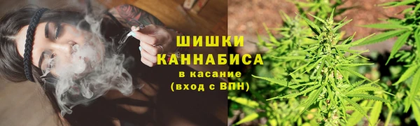 гидра Володарск