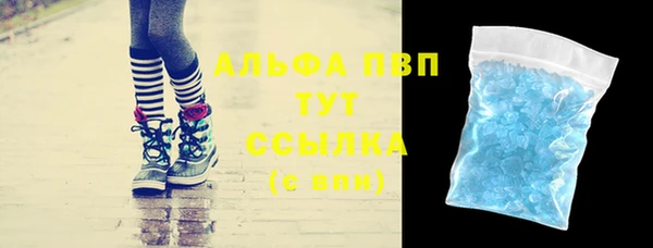 гидра Володарск