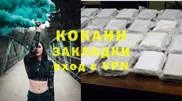 гидра Володарск