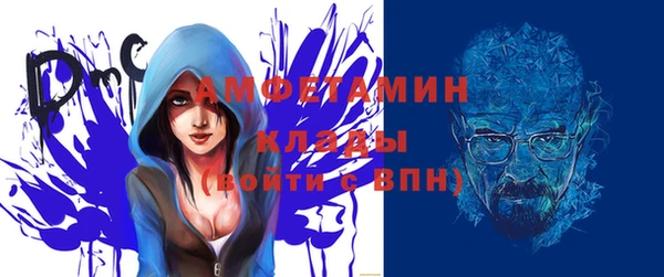 гидра Володарск
