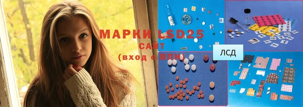 гидра Володарск